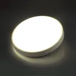Настенно-потолочный светильник Сонекс Pale 7628/CL