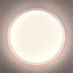 Настенно-потолочный светильник Сонекс Pale 7774/DLN