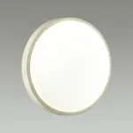 Накладной светильник Sonex Losta 7628/AL от ImperiumLoft