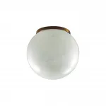 Потолочный светильник Odeon light Midcent 7109/1CA