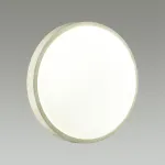 Потолочный светильник Sonex Losta 7628/AL