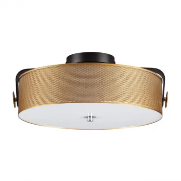 Потолочный светильник Lumion Ledio 6597/40L
