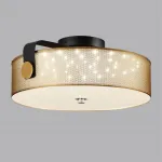 Потолочный светильник Lumion Ledio 359436