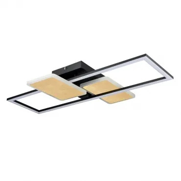 Потолочный светильник Lumion Ledio 6575/80CL