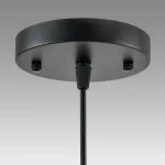 Подвесной светильник Lumion Suspentioni 8052/1A