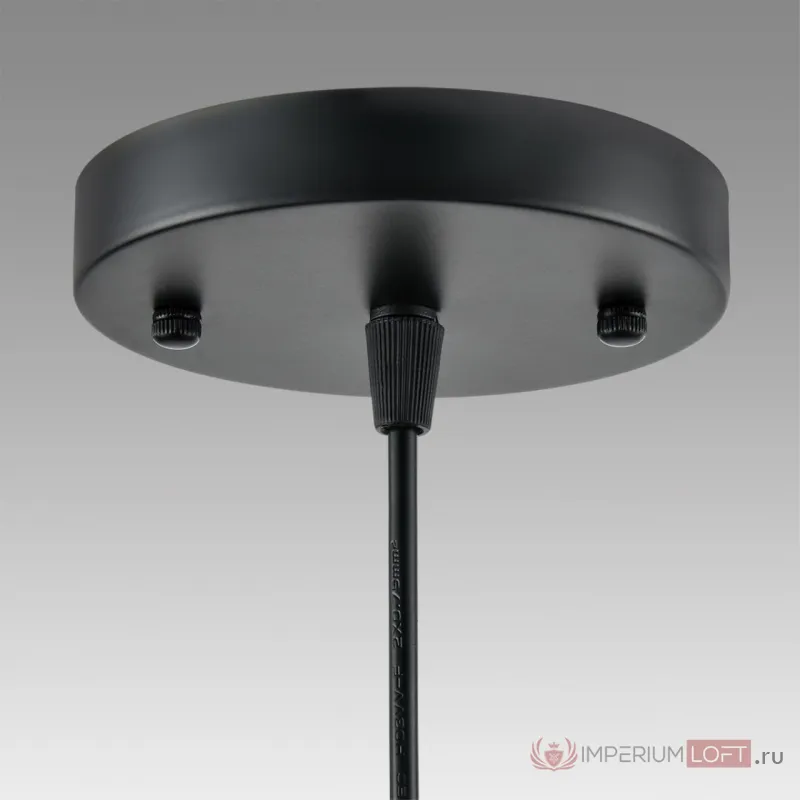 Подвесной светильник Lumion Suspentioni 8052/1A от ImperiumLoft