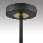 Светильник потолочный Lumion Comfi 8153/6C