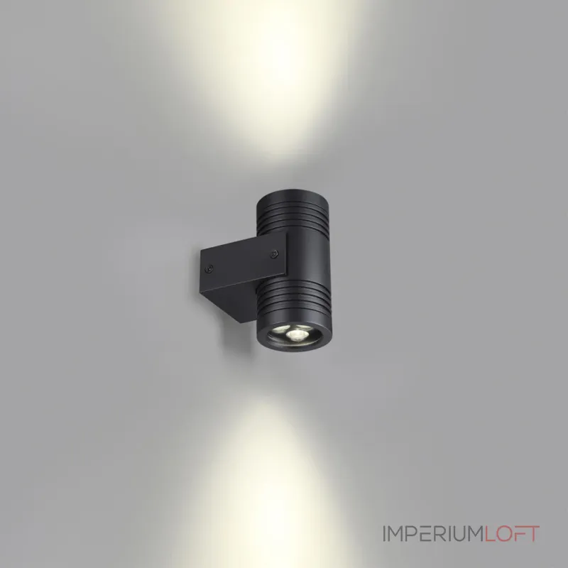 Уличный фасадный светильник Odeon light Nature 6648/12WL
