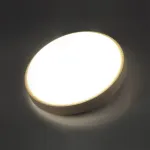 Потолочный светильник Sonex Losta 7607/EL