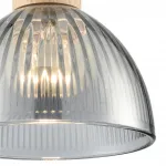 Подвесной светильник Lumion Suspentioni 8053/1A