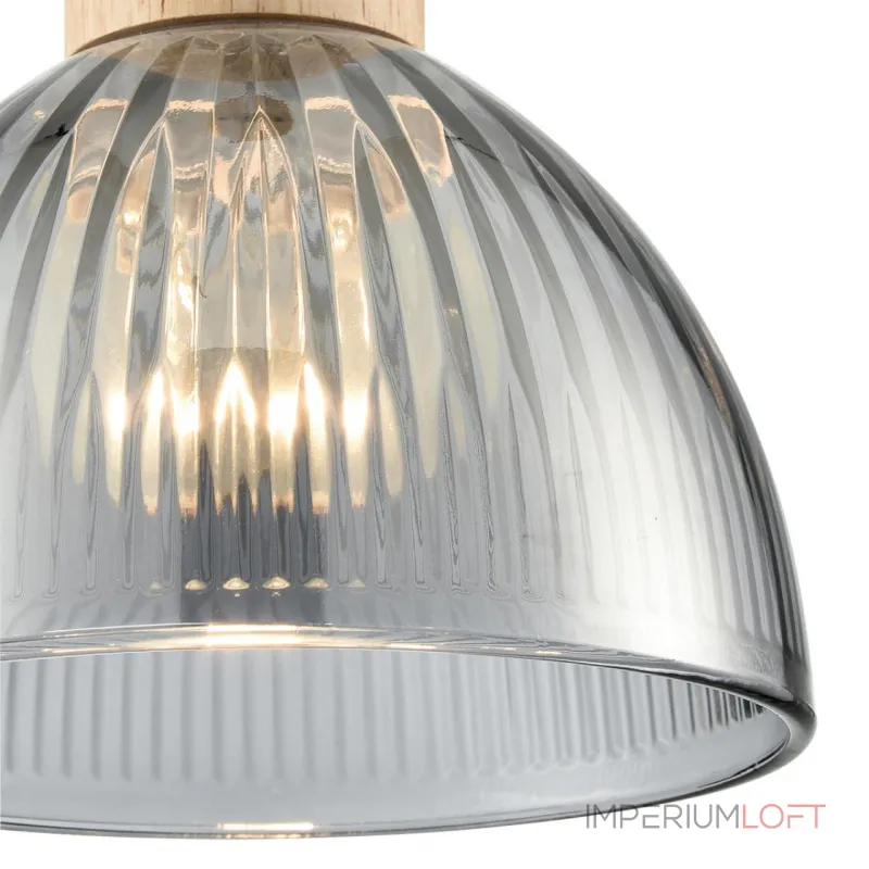 Подвесной светильник Lumion Suspentioni 8053/1A Подвесной светильник Lumion Suspentioni 8053/1A