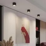 Светильник накладной Novotech Lirio 371041