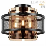 Потолочный светильник Lumion Moderni 359479