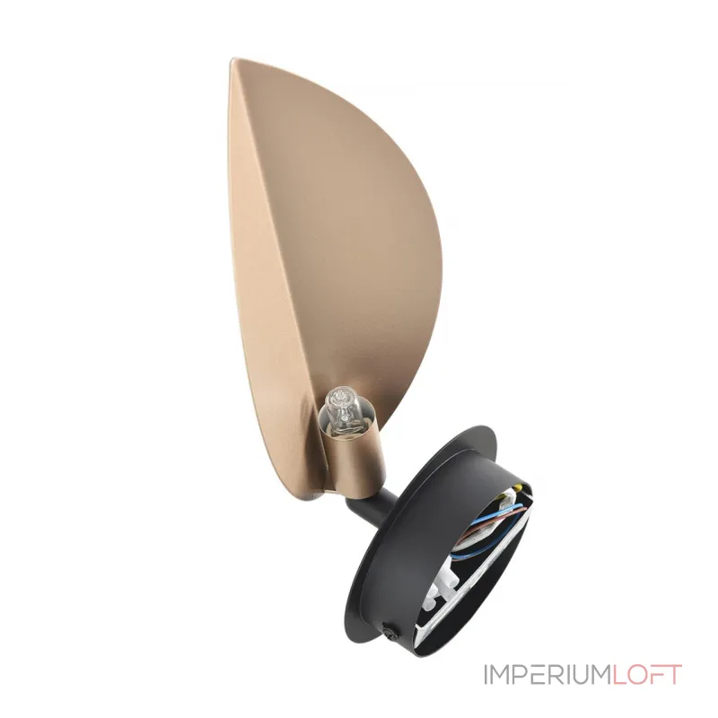 Бра Lumion Moderni 8396/1W