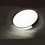 Настенно-потолочный светильник Сонекс Pale 7629/ELN