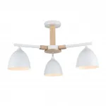 Люстра потолочная Lumion Moderni 5095/12TL от ImperiumLoft