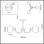 Потолочная люстра Lumion Comfi 5642/3C