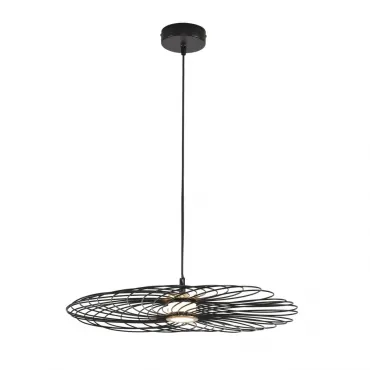 Подвесной светильник Lumion Ledio 8379/10L