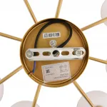 Люстра на штанге Lumion Moderni 8323/8C