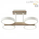 Потолочный светильник Lumion Ledio 359489 от ImperiumLoft