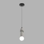 Подвесной светильник Lumion Eco 8365/1A