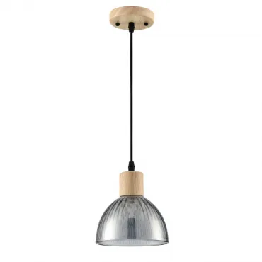Подвесной светильник Lumion Suspentioni 8053/1A
