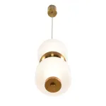 Подвесной светильник Lumion Ledio 8324/20L