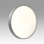 Настенно-потолочный светильник Sonex Tan 7784/CL от ImperiumLoft