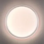 Настенно-потолочный светильник Сонекс Pale 7775/DLN