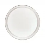 Потолочный светильник Sonex Bionic 3030/DL  Потолочный светильник Sonex Bionic 3030/DL