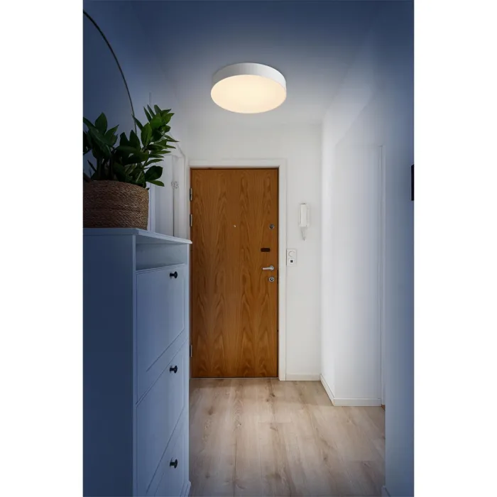 Настенно-потолочный светильник Sonex Basica 7779/DL от ImperiumLoft