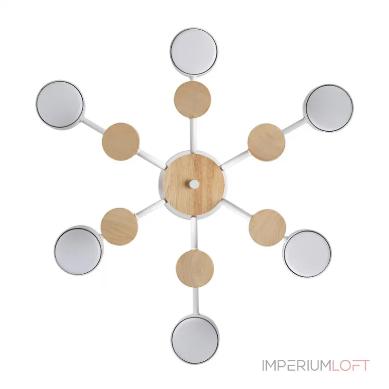 Светильник потолочный Lumion Comfi 6560/2 от ImperiumLoft