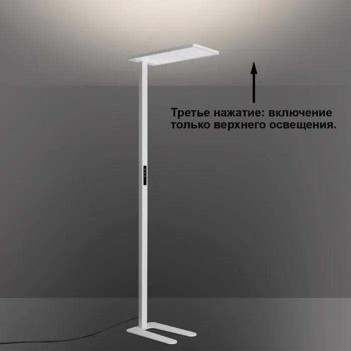 Торшер Novotech Ledo 359545 от ImperiumLoft