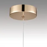 Светильник подвесной Lumion Ledio 5091/60L от ImperiumLoft