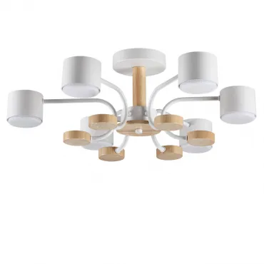 Светильник потолочный Lumion Comfi 8231/6C