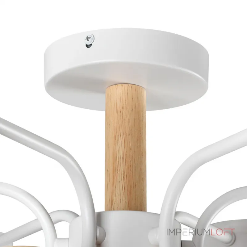 Светильник потолочный Lumion Comfi 6560/2 от ImperiumLoft