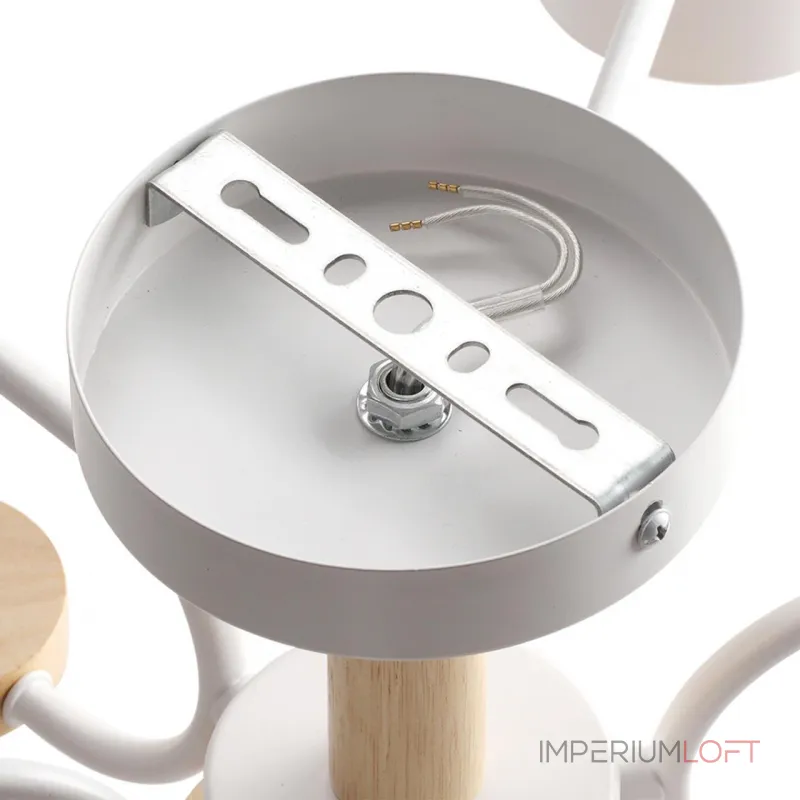 Светильник потолочный Lumion Comfi 6560/2 от ImperiumLoft