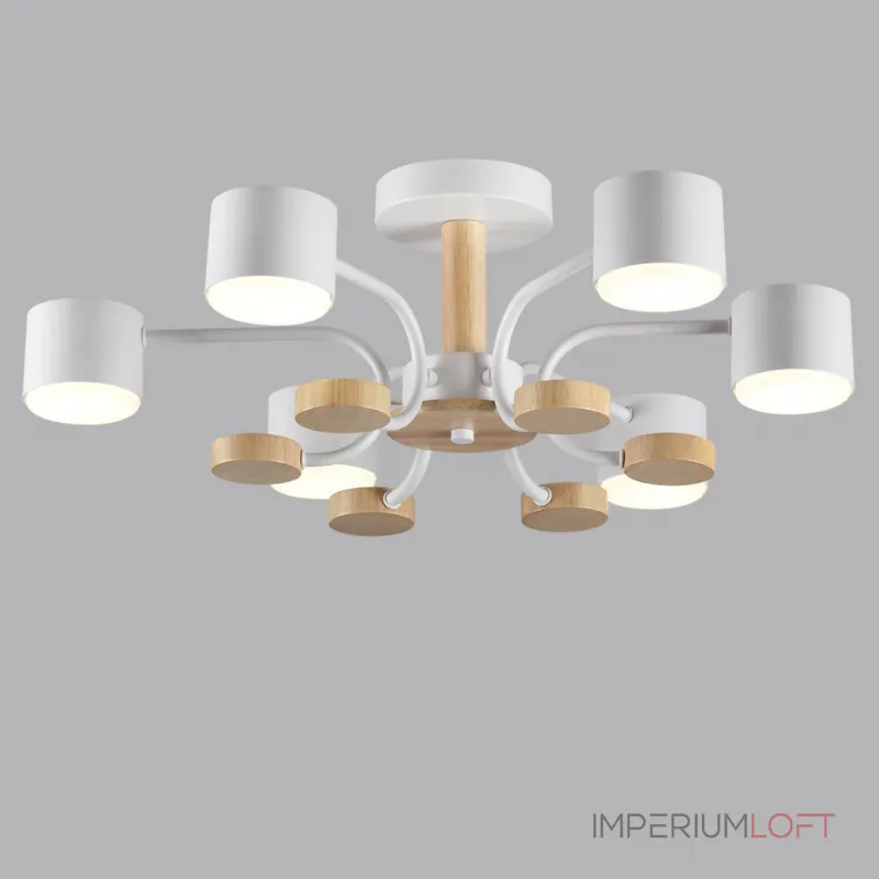 Светильник потолочный Lumion Comfi 6560/2 от ImperiumLoft