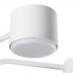 Светильник потолочный Lumion Comfi 6560/2 от ImperiumLoft