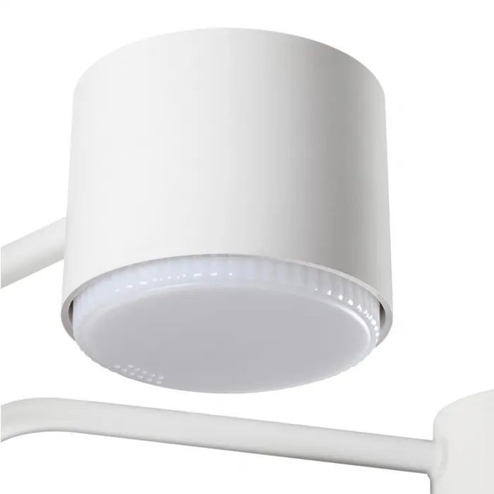 Светильник потолочный Lumion Comfi 6560/2 от ImperiumLoft