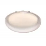 Настенно-потолочный светильник Сонекс Pale 7775/DLN