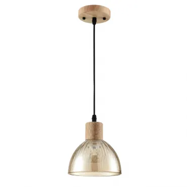 Подвесной светильник Lumion Suspentioni 8054/1A
