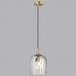 Подвесной светильник Lumion Suspentioni 6551/1A