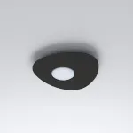 Потолочный cветильник Nowodvorski Organic Black 8303 от ImperiumLoft