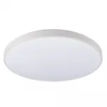 Потолочный cветильник Nowodvorski Agnes Round Led Pro White 10979 от ImperiumLoft