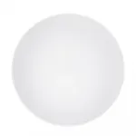 Потолочный cветильник Nowodvorski Agnes Round Led Pro White 10981