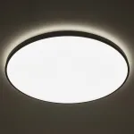 Потолочный cветильник Nowodvorski Agnes Round Led Pro 10975