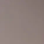 Стеновая панель ECO P011 однотонная — 280*122*5 мм