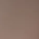 Стеновая панель ECO P012 однотонная — 280*122*5 мм