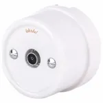 ТВ-розетка без рамки Werkel Retro WL18-02-05 white